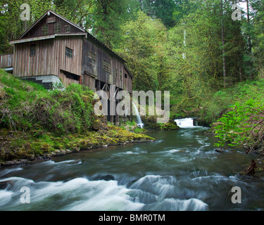 Clark County, WA Cedar Creek Grist Mill (1876) surrounded by spring forest green Stock Photo