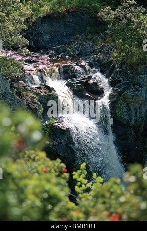 Unnamed waterfalls above Kamuela, Hawaii Stock Photo