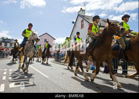 Horses start the Man v Horse race 2010 at Llanwrtyd Wells Powys Mid Wales UK Stock Photo