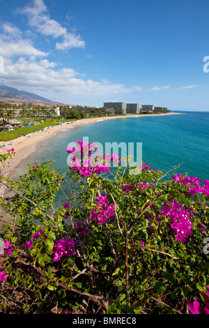 Kaanapali Beach, Maui, Hawaii Stock Photo