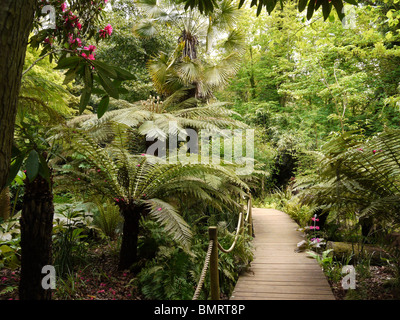 Abbotsbury sub tropical gardens in Dorset. Stock Photo