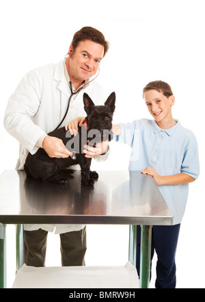 Veterinarian listens to dog's heart beat while young owner looks on. White background. Stock Photo
