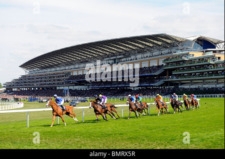 Horses in the Gold Cup race around the bend with the grandstand in the background during day three of Royal Ascot 2010 Stock Photo