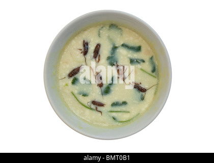 Creamy Cricket Soup from Asian countries. © Myrleen Pearson Stock Photo ...