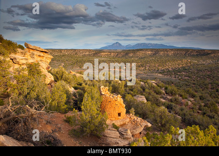 Ancient Puebloan tower at Painted Hand Pueblo, Canyons of the Ancients National Monument, west of Cortez, Colorado, USA Stock Photo