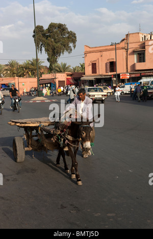 Empty donkey cart delivery. Marrakech. Morocco. Africa. Stock Photo