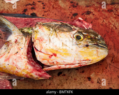 A bloody fish head on the cutting table at a fish market. Stock Photo