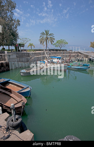 Israel, Tiberias, Fishing Harbour - in 2010 commercial fishing of the lake was put on hold Stock Photo