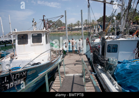 Israel, Tiberias, Fishing Harbour - in 2010 commercial fishing of the lake was put on hold Stock Photo