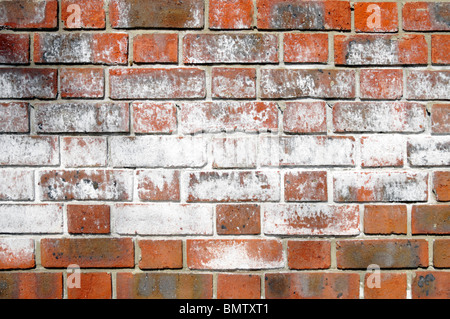 Brick wall outdoor efflorescence white salt powder disfiguring ...