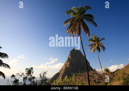 Caribbean, St Lucia, Petit Piton, (UNESCO World Heritage Site) and Anse des Pitons beach (Anse Jalousie) Stock Photo