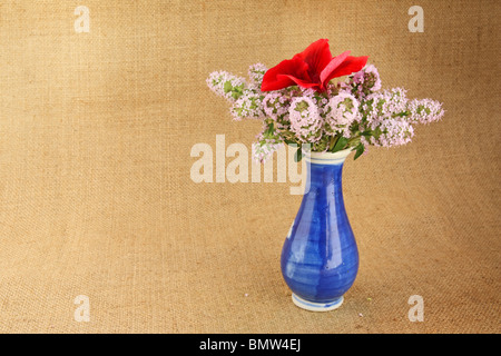 Thyme bunch in blue vase on burlap background Stock Photo