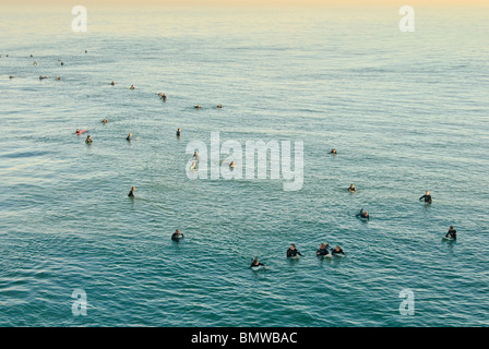 Large group of surfers gathered in Surf City, USA at Huntington Beach, California. Stock Photo