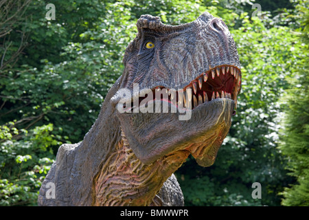 Close up head of Tyrannosaurus rex an extinct carnivorous therpod Wildlife Park Combe Martin Devon UK Stock Photo