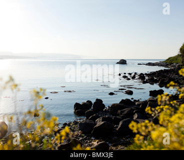 Browns Bay, County Antrim, Northern Ireland Stock Photo
