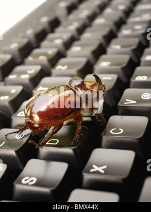 Metaphors about problems in the world of computers, software, and Internet. Stock Photo