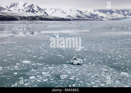 Off the Hubbard Glacier, Alaska 3 Stock Photo