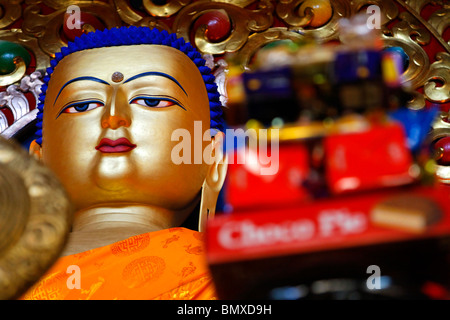 Namgyal Monastery, Dharamsala, Himachal Pradesh, India Stock Photo