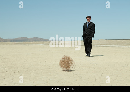 Businessman in desert with tumbleweed Stock Photo