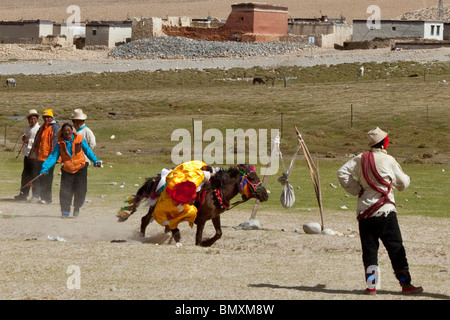 Horse competition in a village on the road to Everest Base Camp, Tibet Stock Photo