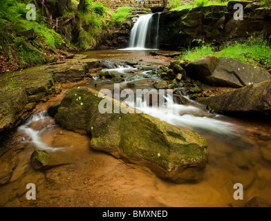 Water tumbling down Blow Gill near Osmotherley North yorkshire. Stock Photo