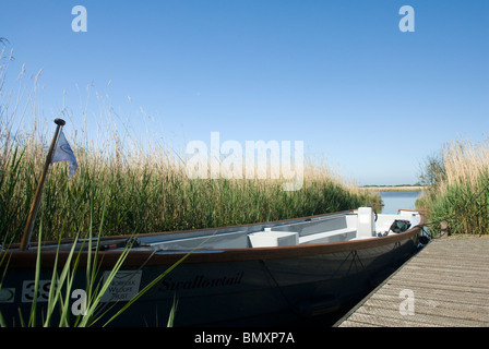 Norfolk Wildlife Trust nature reserve, Hickling Broad, The Norfolk Broads, Norfolk, England. Stock Photo