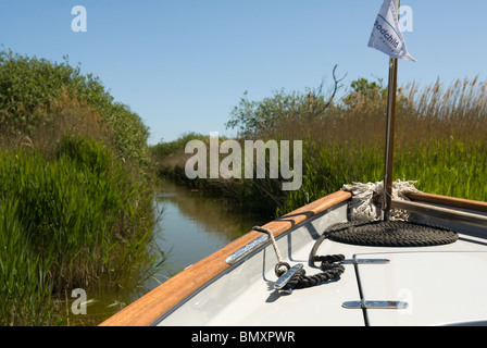 A narrow channel through the reeds on Hickling Broad, The Norfolk Broads, Norfolk, England. Stock Photo