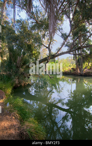 The Jordan river flowing at the northern Jordan valley  Israel Stock Photo