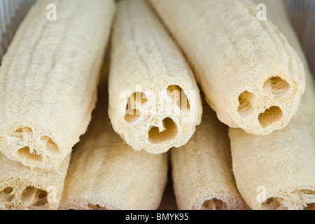 Sea sponges, Tarpon Springs, Florida, USA Stock Photo