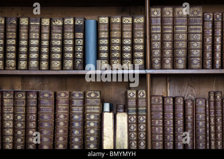Baroque Bookshelves detail Stock Photo