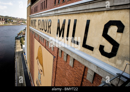 Closeup of the exterior of Baltic centre for contemporary modern art in Gateshead, formerly Baltic Flour Mills. Stock Photo