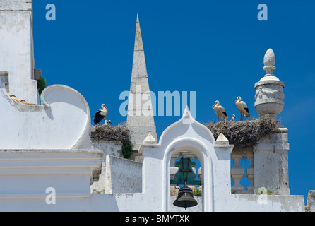 Portugal, the Algarve, Faro, Storks' nests on the Arco da Vila bell tower Stock Photo