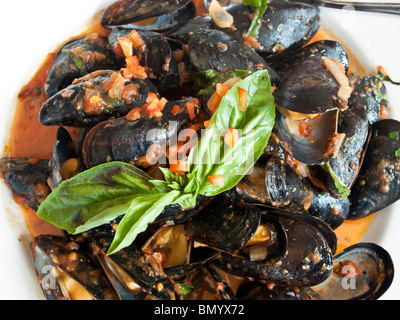 close view plate of steamed mussels in Marinara sauce garnished with sprig of fresh basil Stock Photo