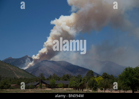 Flagstaff Arizona Schultz Mountain Forest Fire June 2010 Stock Photo