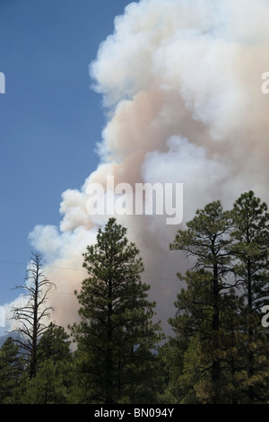 Flagstaff Arizona Schultz Mountain Forest Fire June 2010 Stock Photo