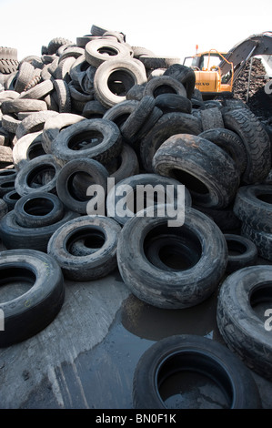Israel, Tyrec LTD Tire recycling industries Stock Photo