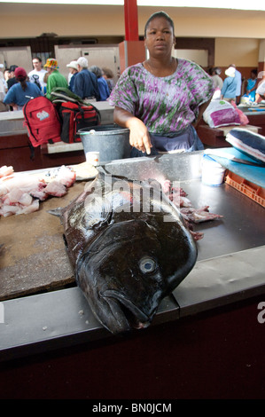 Cape Verde Islands, Sao Vicente, Mindelo (aka Porto Grande). Downtown fish market (aka Mercado de Peixe). Stock Photo