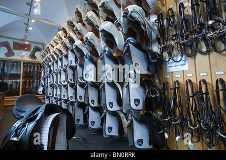 Horse bridles and saddles Stock Photo