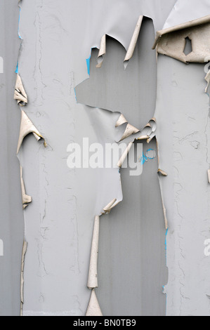 Torn ripped gray metal texture background with paint and metal pealing off. Stock Photo