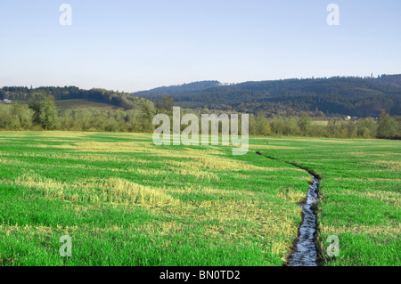 A narrow water river stream going through a green grass field landscape. Stock Photo