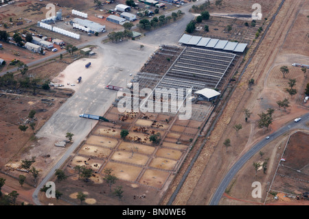 cattle holding yard Stock Photo