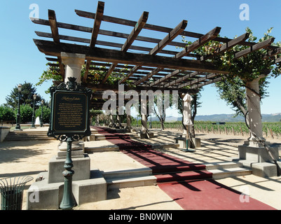 Grapevine on a Trellis, Rubicon Estate, Niebaum-Coppola Winery, Rutherford, Napa Valley, California Stock Photo