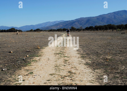 Pilgrim walking the Silver Way in Caceres province. Extremadura region, Spain Stock Photo