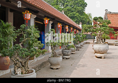 The garden at Van Mieu, the Temple of Literature, or Hanoi's oldest university Stock Photo