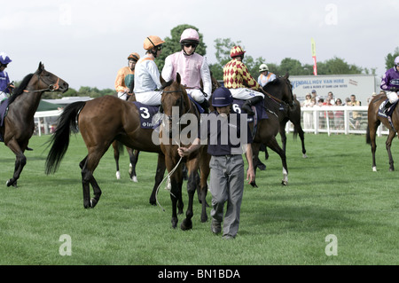 Racehorses being led to the starting gate at Epsom Downs Racecourse, Surrey, England Stock Photo