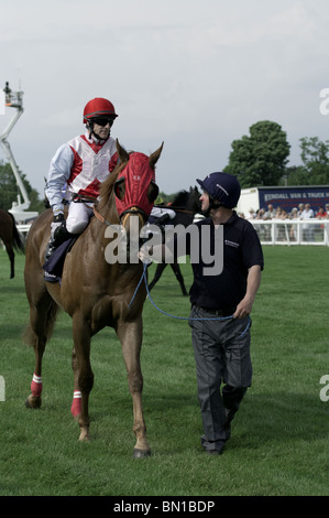 Racehorses being led to the starting gate at Epsom Downs Racecourse, Surrey, England Stock Photo