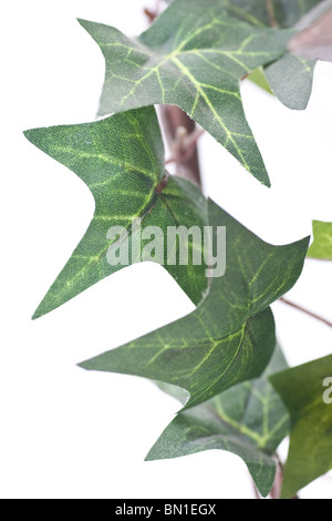 Closeup of fake plastic ivy leaves, isolated on white. Stock Photo