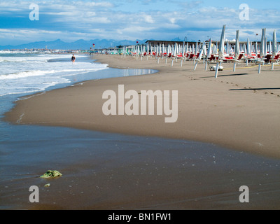 Beach, Tirrenia, Pisa, Tuscany, Italy Stock Photo