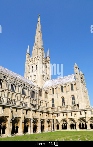 Cloisters, South Transept and Spire of Norwich Cathedral, Norwich, Norfolk, England, UK Stock Photo