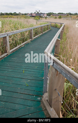 Boardwalk at Rainham Marshes RSPB Reserve, with the eco-friendly Information and Visitor Centre. Stock Photo